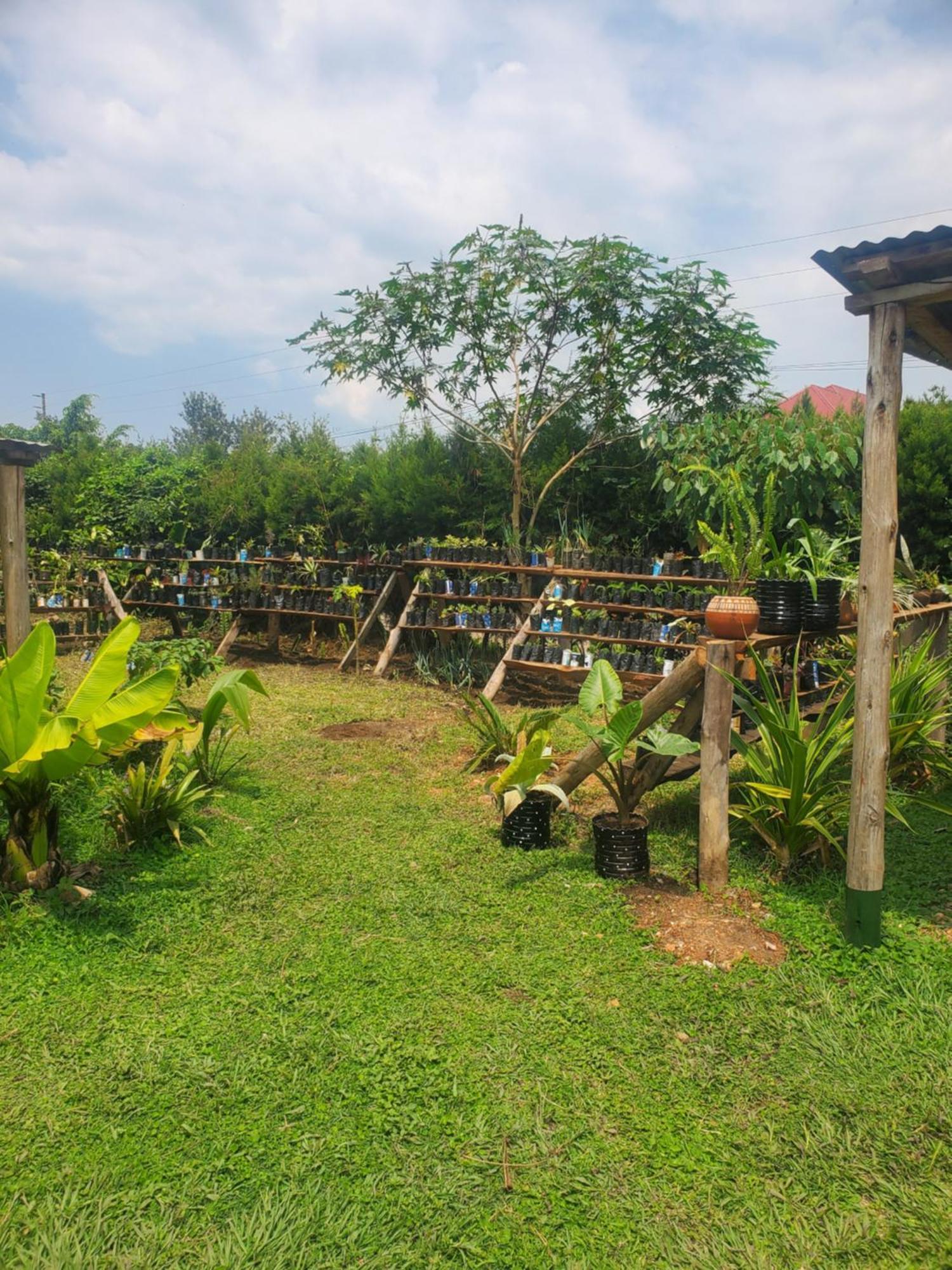 Gaia Eco Hub Bnb Fort Portal Exterior foto