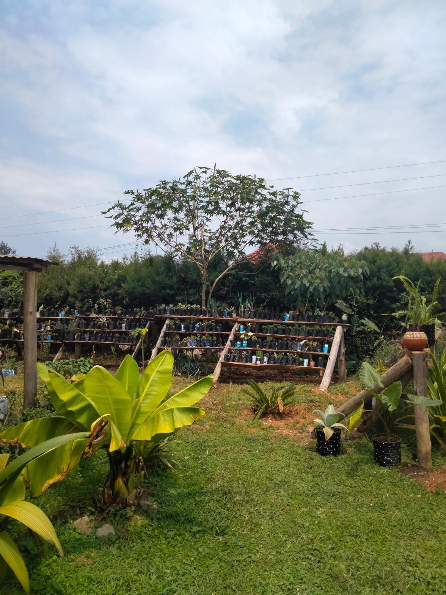 Gaia Eco Hub Bnb Fort Portal Exterior foto