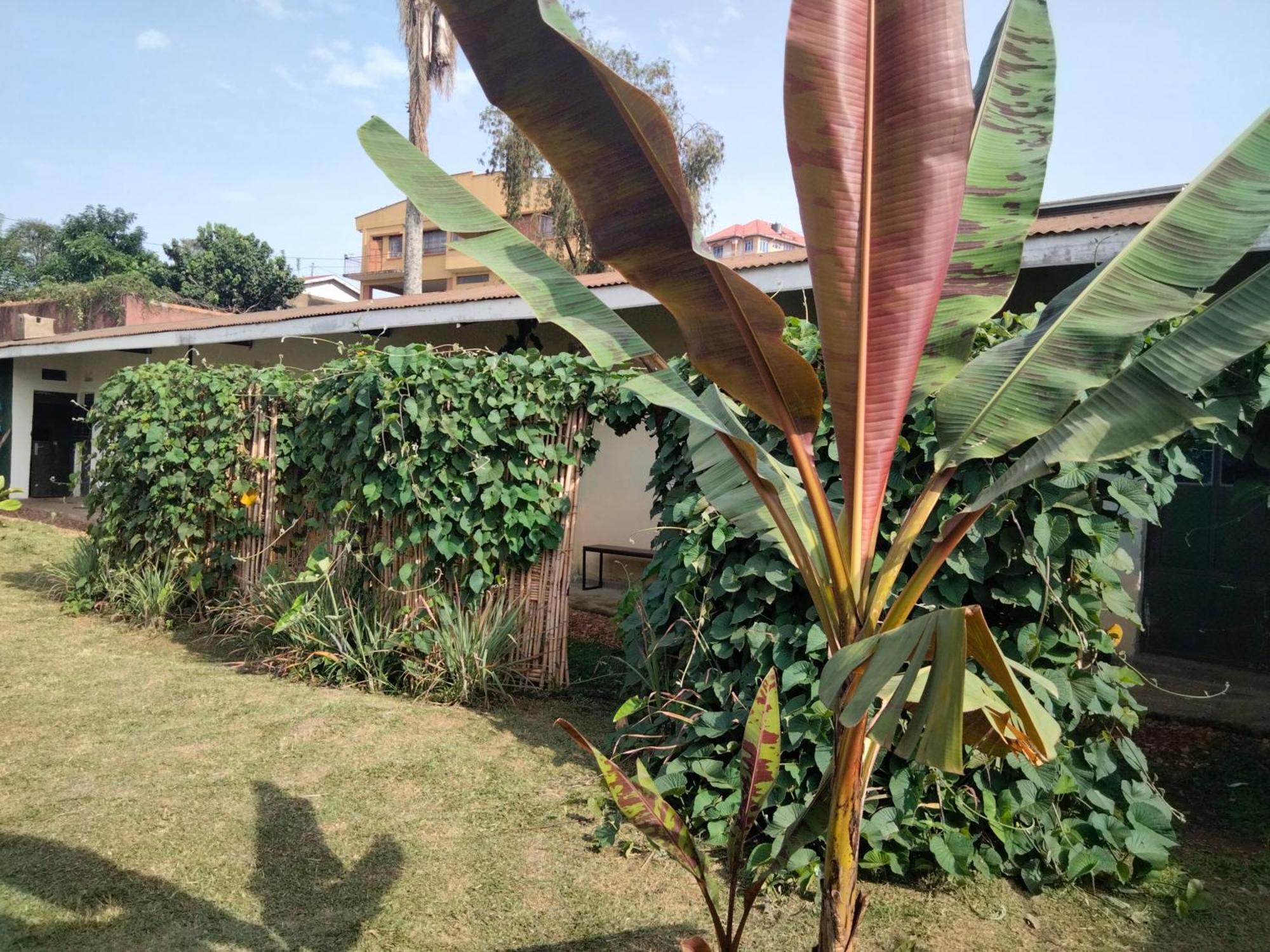 Gaia Eco Hub Bnb Fort Portal Exterior foto