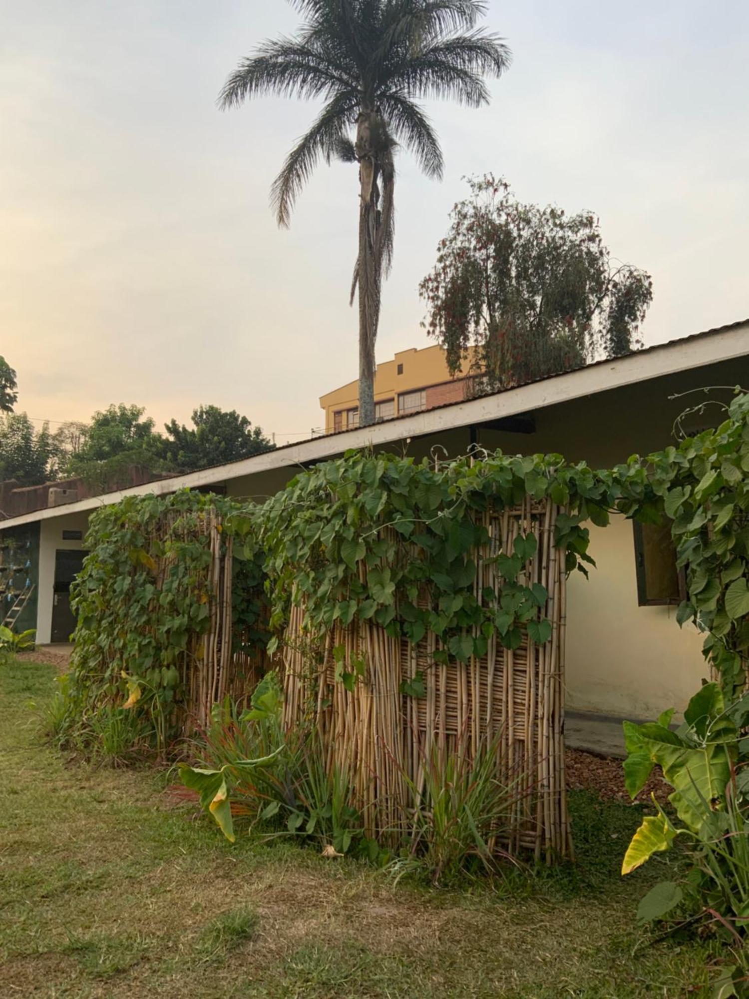 Gaia Eco Hub Bnb Fort Portal Exterior foto